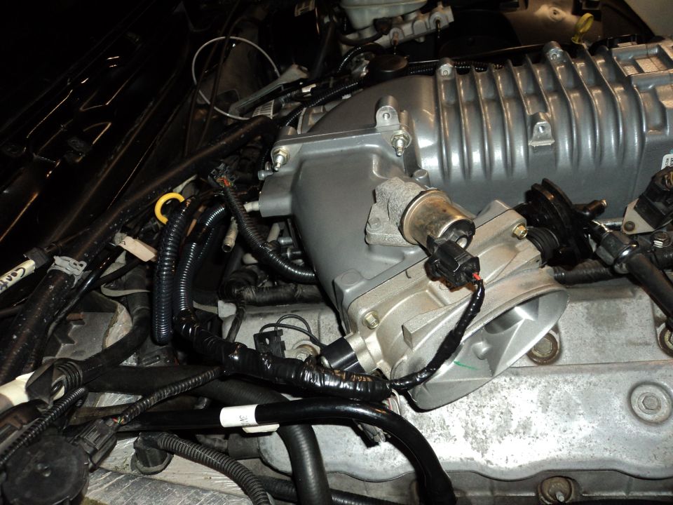 Engine bay with supercharger and intake manifold