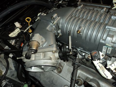 2004 Mercury Grand Marquis - Engine intake system with a prominent supercharger and associated plumbing.