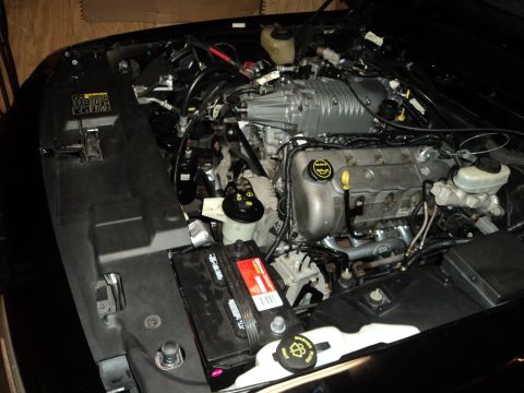 2004 Mercury Grand Marquis - The engine bay shows a supercharger added to the V8 motor, with the battery and hoses in view.