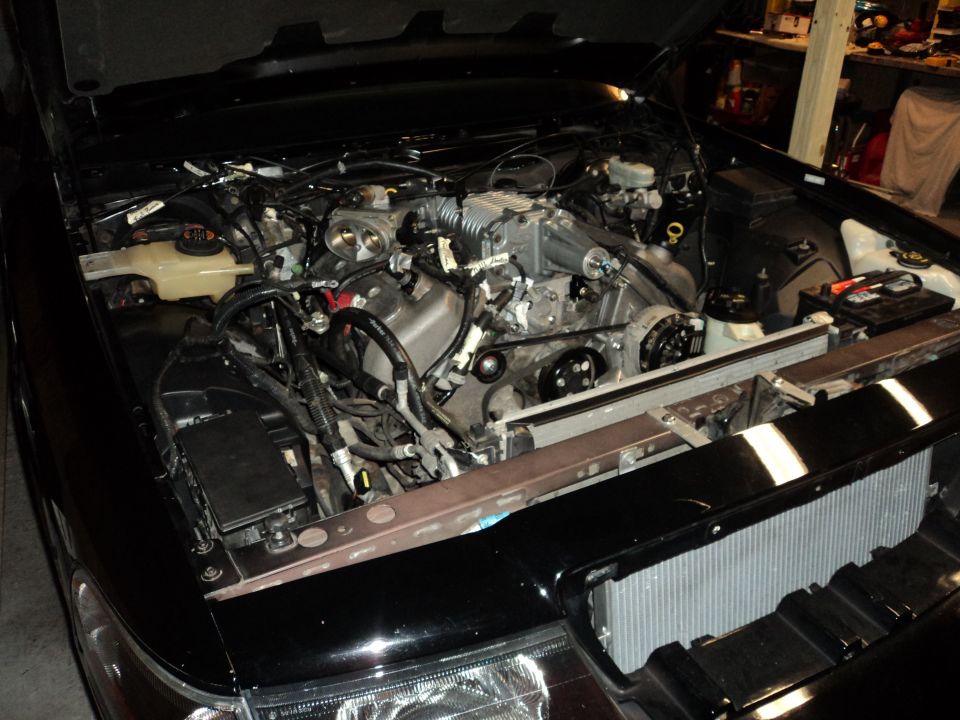 Car engine bay with a supercharger installed. Shows the engine, radiator, and various hoses and wires