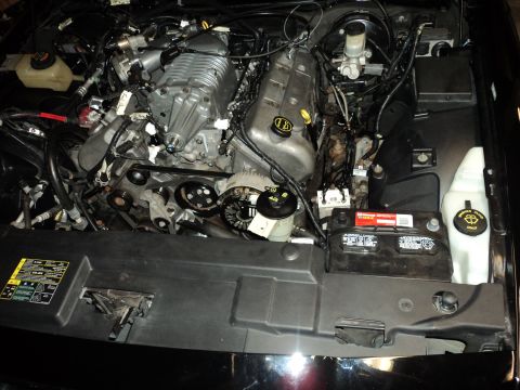2004 Mercury Grand Marquis - Engine bay of a 2004 Mercury Grand Marquis showing a supercharged V8 engine.