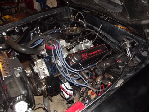 1981 Ford Mustang photo