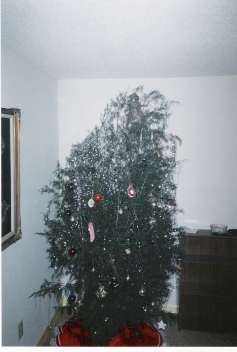 1977 Ford Mustang II - A decorated Christmas tree stands in a room, adorned with various ornaments and tinsel.