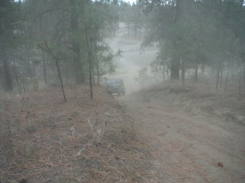 2005 Jeep Wrangler - Jeep Wrangler navigates a sandy trail through a pine forest.