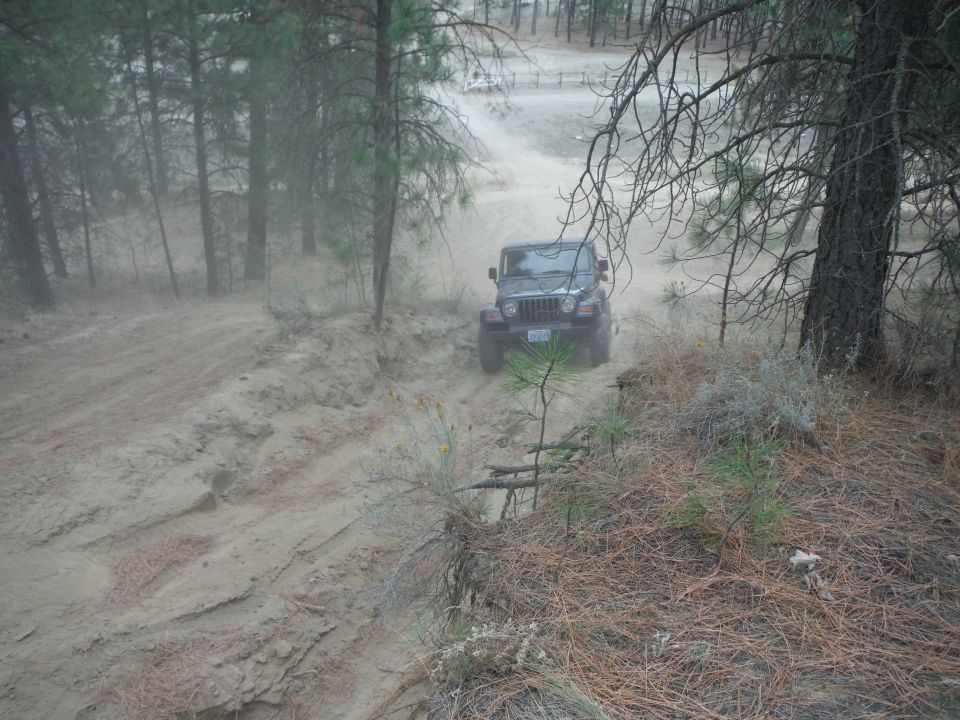 Dark colored Jeep Wrangler driving up a dirt hill in a wooded area. The license plate is visible