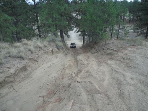 2005 Jeep Wrangler - A black Jeep Wrangler navigates a sandy trail surrounded by pine trees.