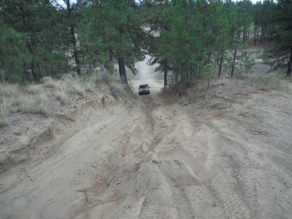 Black Jeep Wrangler driving up a sandy hill between pine trees