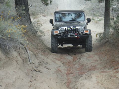 2005 Jeep Wrangler - A Jeep Wrangler navigates a sandy trail, surrounded by dry brush and trees.