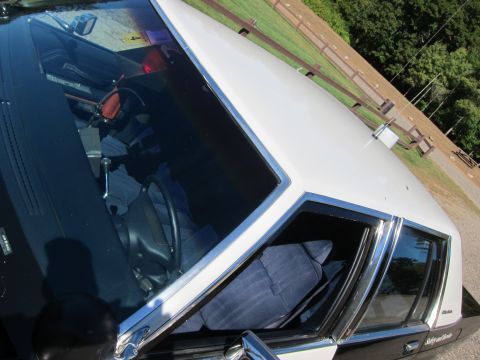 1991 Ford LTD Crown Victoria - Tilted close-up of a black-and-white car showing its windshield, white roof and blue cloth interior seats.