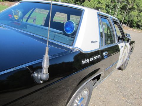 1991 Ford LTD Crown Victoria - Driver-side rear roofline of a black police sedan showing a blue dome light, a whip antenna and white 'Safety and Service' door lettering.