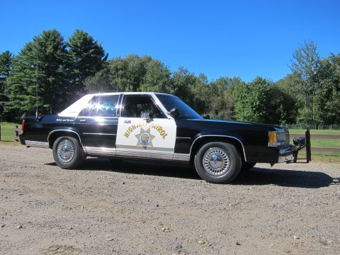 1991 Ford LTD Crown Victoria - Side profile of a black-and-white CHP-liveried full-size Ford sedan with star door emblem, parked on gravel beside a grassy field.