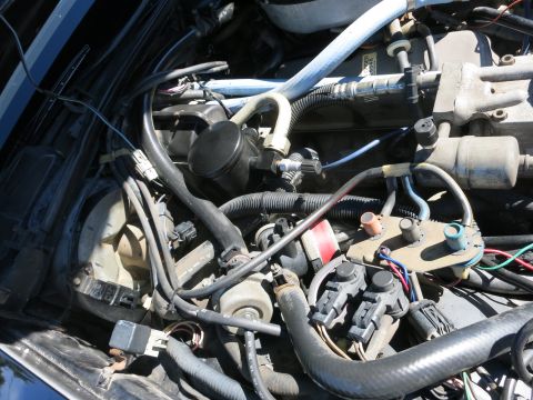 1991 Ford LTD Crown Victoria - car engine bay packed with vacuum hoses, electrical wiring, and connectors over a fuel-injected engine.