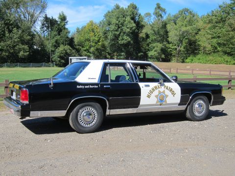 1991 Ford LTD Crown Victoria - black-and-white Highway Patrol Ford LTD Crown Victoria sedan with door star emblem parked on gravel beside a grassy field.