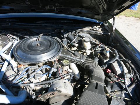 1991 Ford LTD Crown Victoria - Engine bay showing a V8 with a large round air cleaner, accordion intake duct, and engine wiring under an open hood.