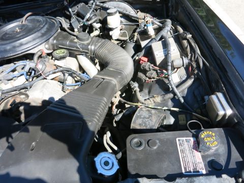 1991 Ford LTD Crown Victoria - Engine bay showing a round air cleaner, accordion air-intake duct, and a yellow washer-fluid-only cap label.