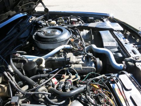 1991 Ford LTD Crown Victoria - Engine bay showing a V8 with a round air cleaner and dense wiring, hoses, and accessories under an open hood.