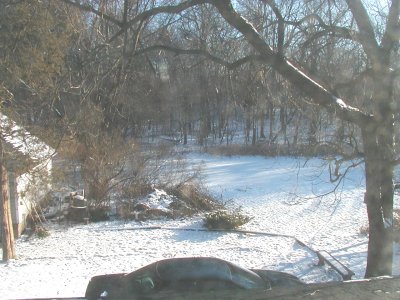 1997 Ford Taurus - A dark sedan is visible on a snowy day, partially hidden by trees and brush.