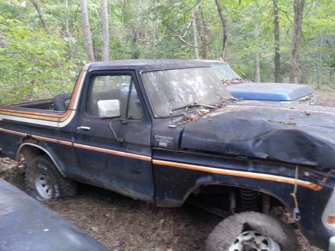 1987 Ford Bronco - A black Ford Bronco with a distinctive stripe is seen in a wooded area, showing signs of disrepair.