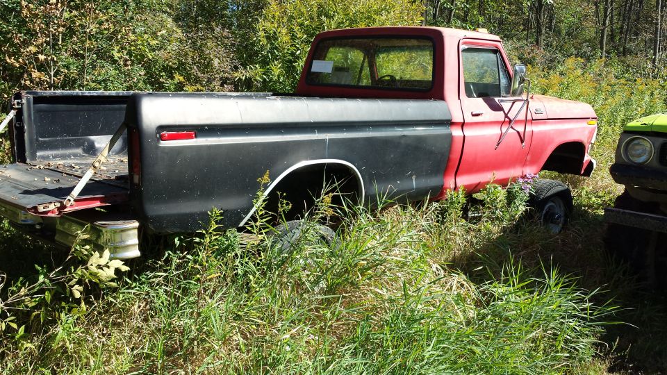 red and black pickup truck parked in grass, another vehicle to the right