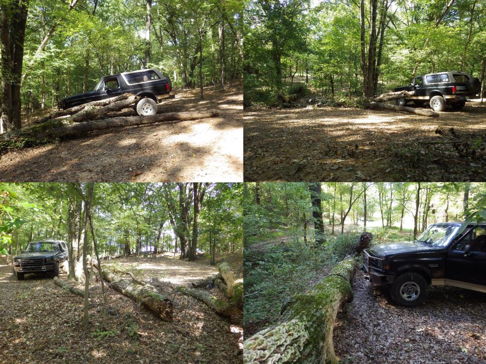 Ford Bronco navigating over large fallen trees on a dirt path in a wooded area