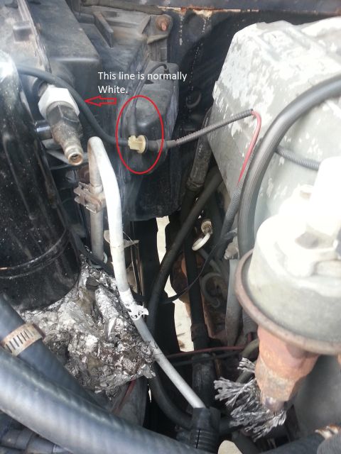 1994 Ford Bronco - Close-up of an engine bay AC line, with a note indicating the line is normally white and a yellow clip circled.