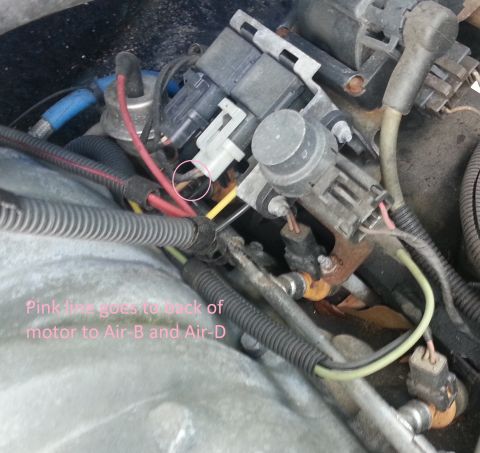 1994 Ford Bronco - Engine wiring harness and components are shown, with a pink line indicated to go to the back of the motor.