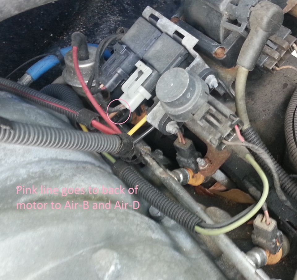 Close-up of engine wiring and connectors, with a pink line circled and labeled