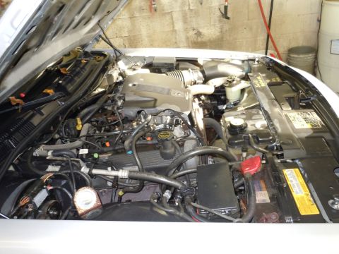 2001 Ford Crown Victoria - The engine bay of a 2001 Ford Crown Victoria, showing the V8 engine and associated components.