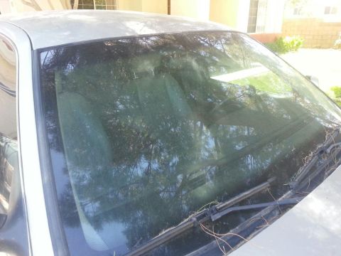1998 Ford Crown Victoria - The front windshield and roof of a silver car are visible, reflecting trees and sky.