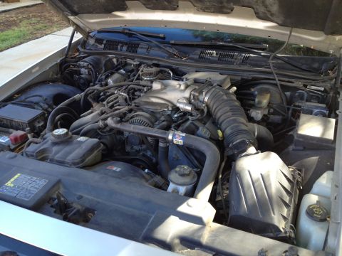 1998 Ford Crown Victoria - The engine bay of a 1998 Ford Crown Victoria, showing the V8 engine and associated components.