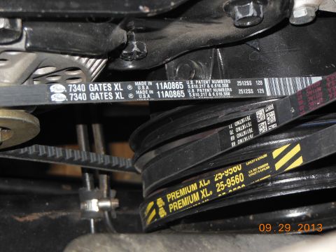 1979 Ford F-150 - Multiple engine belts are visible, with brand names and part numbers clearly marked.