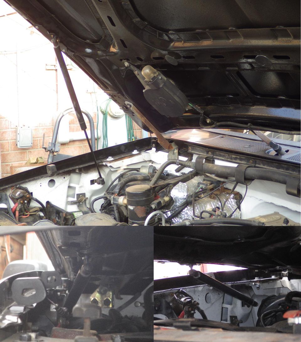 Open black hood with gas strut lift support installed over engine bay