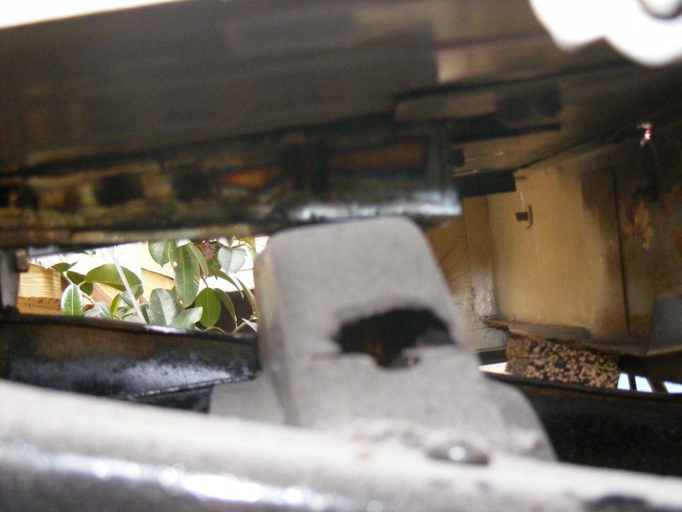 Undercarriage of a vehicle with visible suspension components and foliage in the background