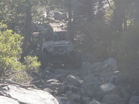 1961 International Scout 800 - Modified 1961 International Scout 800 navigates a challenging rocky path through a wooded area.