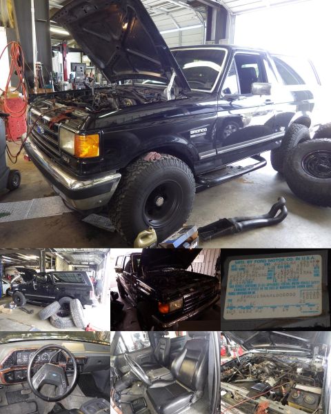 1983 Ford Bronco - Bought by a friend of a friend from a GA dealer.