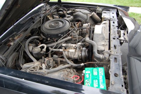 1985 Mercury Grand Marquis “BIGNSLOW”