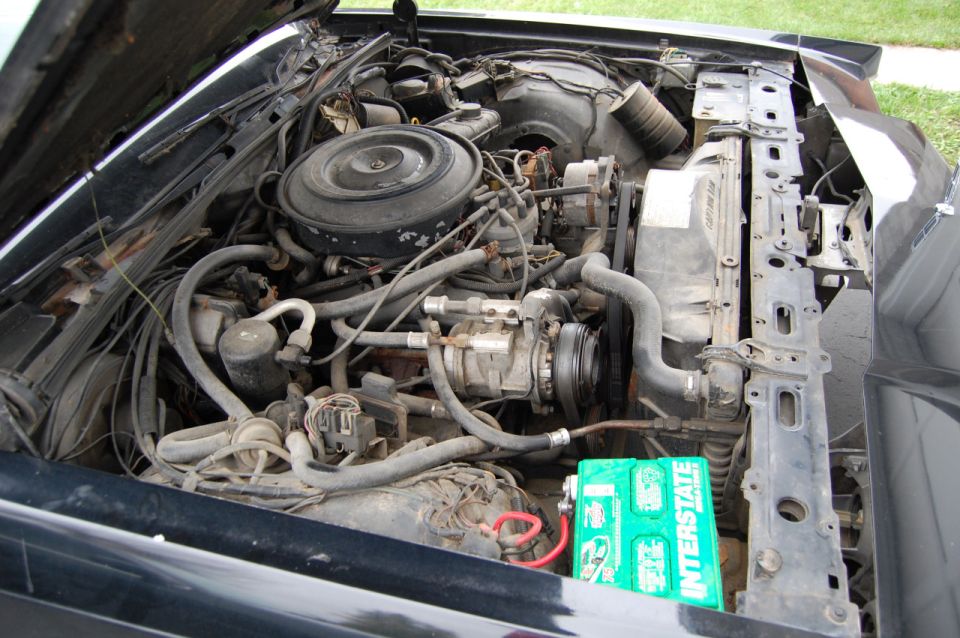 Engine bay with Interstate battery, air cleaner, and various hoses and wires