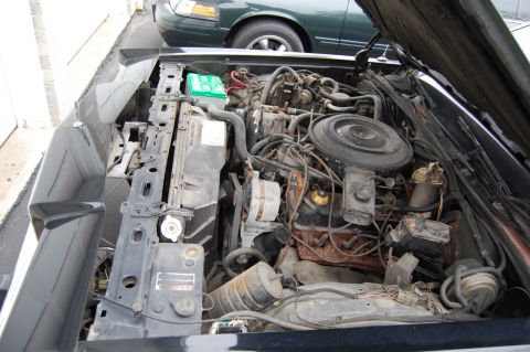 1985 Mercury Grand Marquis “BIGNSLOW”