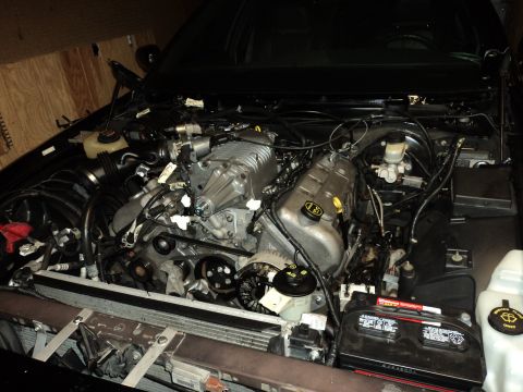 2004 Mercury Grand Marquis - Engine bay of a 2004 Mercury Grand Marquis showing a supercharger installation.