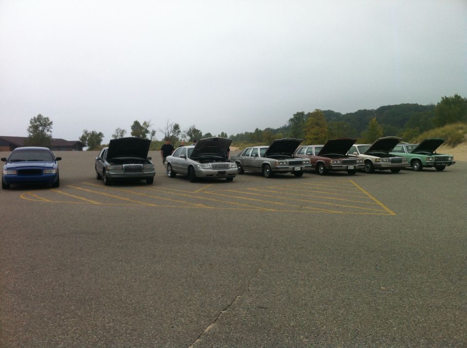 Several sedans with hoods open parked in a lot, with a blue sedan on the left.