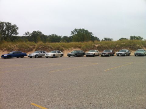 2003 Ford Crown Victoria - A line of eight sedans are parked in a paved lot with a sandy dune and trees in the background.