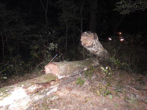 1983 Ford Bronco - The log bit down on the saw bar, so I had to cut it out with my axe, and I accidentally hit the end of the bar, cutting the chain.