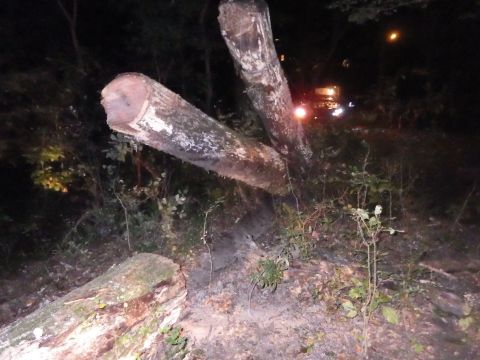 1983 Ford Bronco - Greg wanted to stand the stump up, but I wanted video during daylight, and I wasn't sure about winching the stump fully across the creek fr…