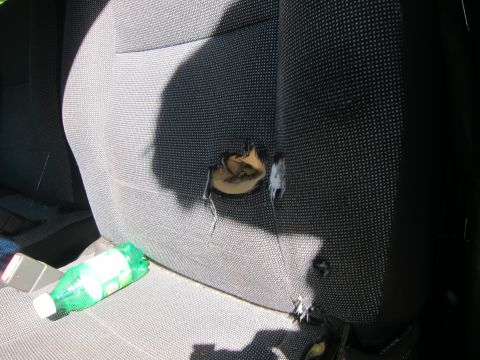 2001 Ford Crown Victoria - A close-up interior shot shows a torn fabric car seat with a green plastic bottle lying on the seat cushion. The seat fabric is gray with a…