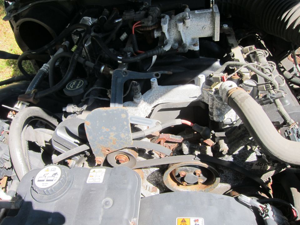 2001 Ford Crown Victoria engine bay with hoses, belts, and engine components.