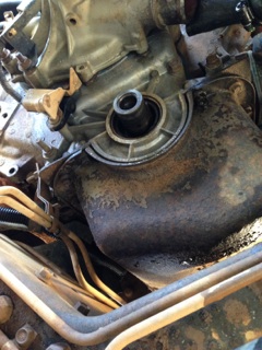 1996 Ford Bronco - Close-up view of an engine's timing chain cover area, with visible hoses and mechanical parts.