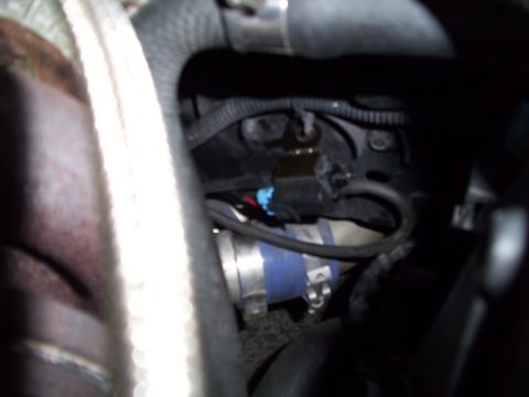 1995 Ford Probe - Engine bay components including hoses and electrical connectors are visible in this close-up shot.