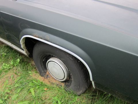 1991 Ford LTD Crown Victoria - The side view of a car's fender and wheel, with grass growing around the tires.