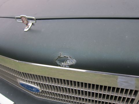 1991 Ford LTD Crown Victoria - Hood ornament and grille of a dark green vehicle, with visible damage to the hood above the grille.