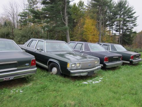 1991 Ford LTD Crown Victoria - Four sedans, including a 1991 Ford Crown Victoria LTD, are parked in a grassy area with trees in the background.